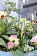 SUStee Plant Watering Indicator Small Green Set of 5 Smart Soil Monitor, Size S