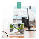 Small Fish Tank + Sky City Suspended Coral & Rock Landscape Glass Aquarium - 6L