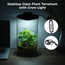 Desktop Glass Terrarium with LED Grow Light Succulent Moss Plant Display Tank