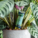 Westland Houseplant Droplet Feeder 40ml 10 Pack Plant Food Nutrients 4 Weeks