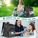 Pet Dog Carrier Backpack Portable Travel Cat Bag Comfort Breathable Mesh Soft