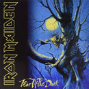 Iron Maiden Fear Of The Dark Vinyl 2LP 180g Remastered Heavy Metal Album Record