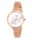 Olivia Westwood Ladies Leather or Stainless Steel Quartz Watch - Various Styles